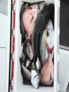 釣果写真
