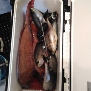 釣果写真