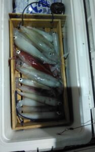 釣果写真