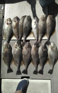 釣果写真