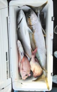 釣果写真 釣果写真