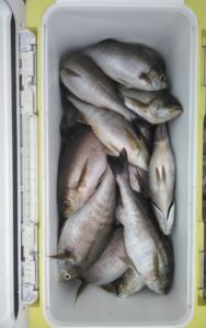 釣果写真 釣果写真