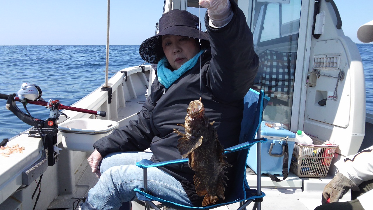13年5月3日小浜沖へテンビン仕掛けで五目釣りに 出港 オニオコゼ ソイ 小ダイ チダイ 甘鯛 カサゴでした 日本海小浜の釣り船わかさ